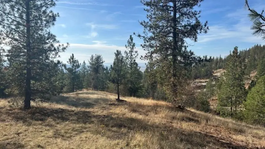 NKA Landon Ln, Spokane, WA 99208 - #3