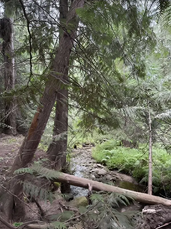 34xxx N Blanchard Creek Rd, Newport, WA 99156