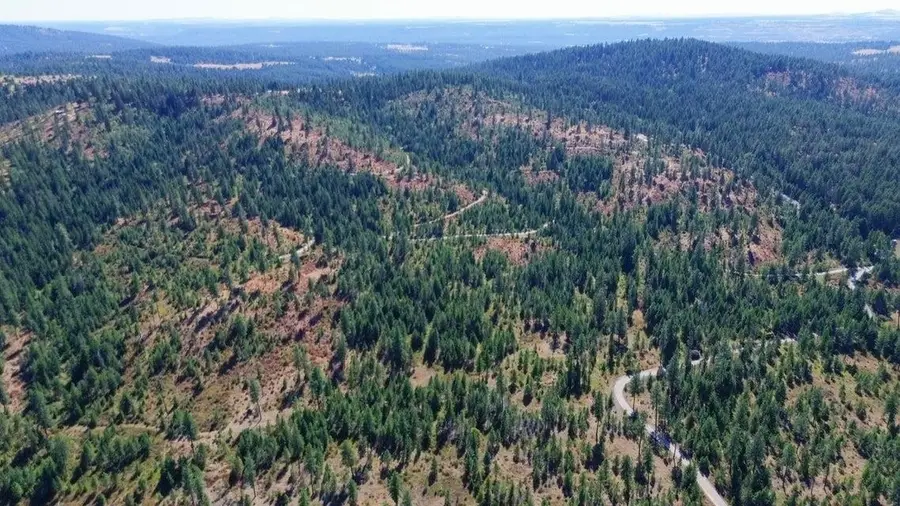 52XX Lot 5 S Swenson Rd, Deer Park, WA 99006 - #2