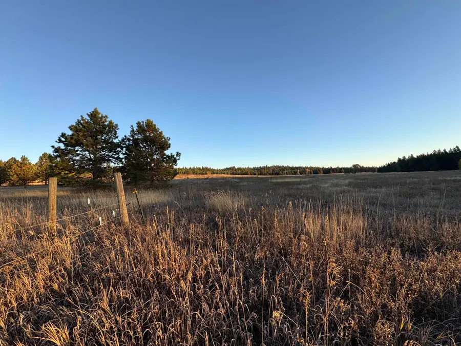 XX Mason Rd, Clayton, WA 99110 - #3