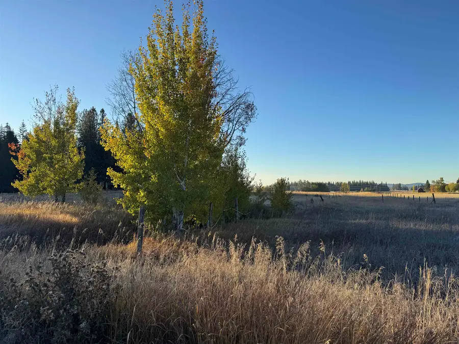 XX Mason Rd, Clayton, WA 99110 - #3