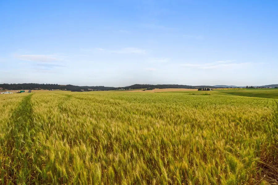 NKA N Bruce Rd, Colbert, WA 99021 - #3