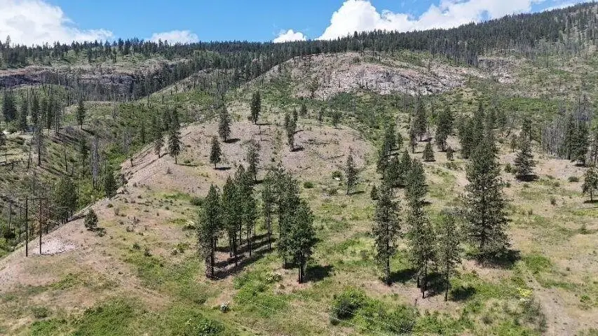 35000 Hwy 20 Hwy, Kettle Falls, WA 99141 - #2