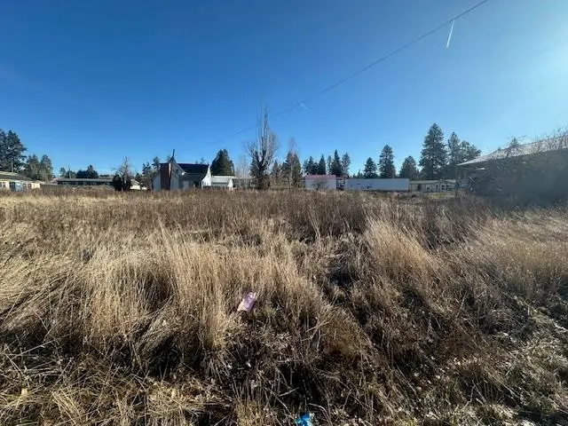 NKA S 2nd St, Rockford, WA 99030 - #2