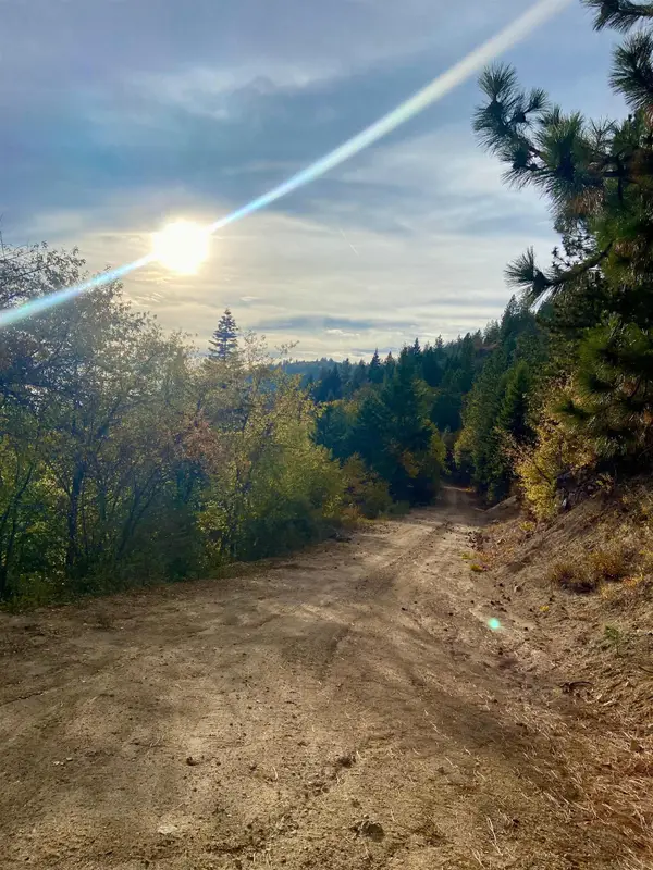 896 Rocky Mountain Rd, Newport, WA 99156