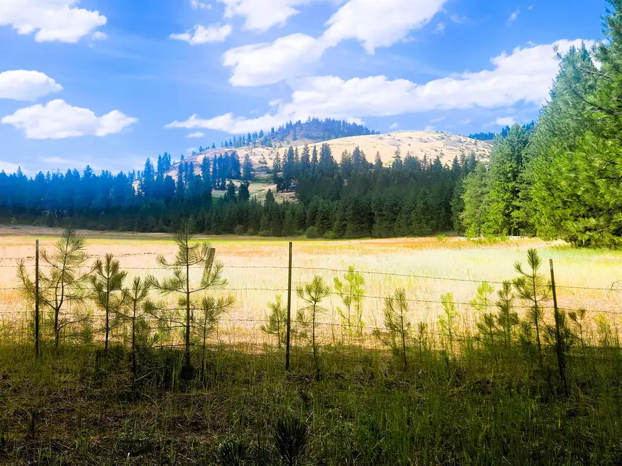 34XX Northport Flat Creek Rd, Kettle Falls, WA 99141-9998 - #2