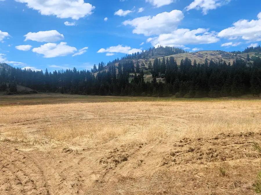 34XX Northport Flat Creek Rd, Kettle Falls, WA 99141-9998 - #3