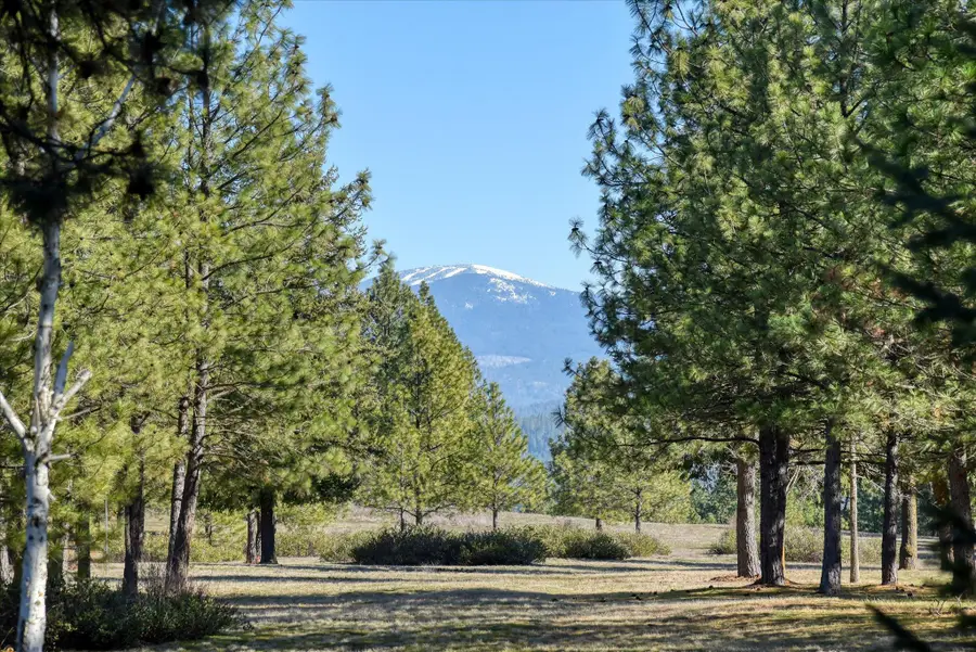 24616 N Wild Rose Ln, Colbert, WA 99005 - #3