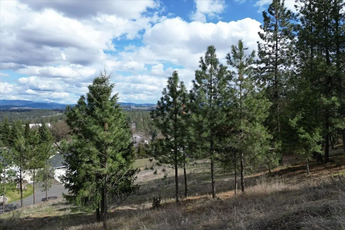 1411 W Toni Rae Dr, Spokane, WA 99218 - #1