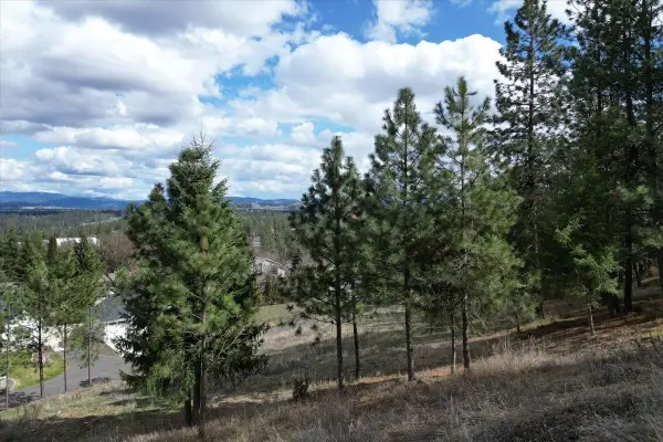 1411 W Toni Rae Dr, Spokane, WA 99218