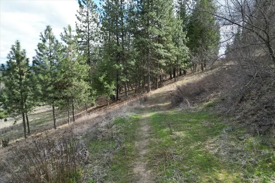 1411 W Toni Rae Dr, Spokane, WA 99218 - #2