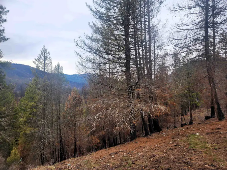 34XX Northport Flat Creek Rd, Kettle Falls, WA 99141-9999 - #2