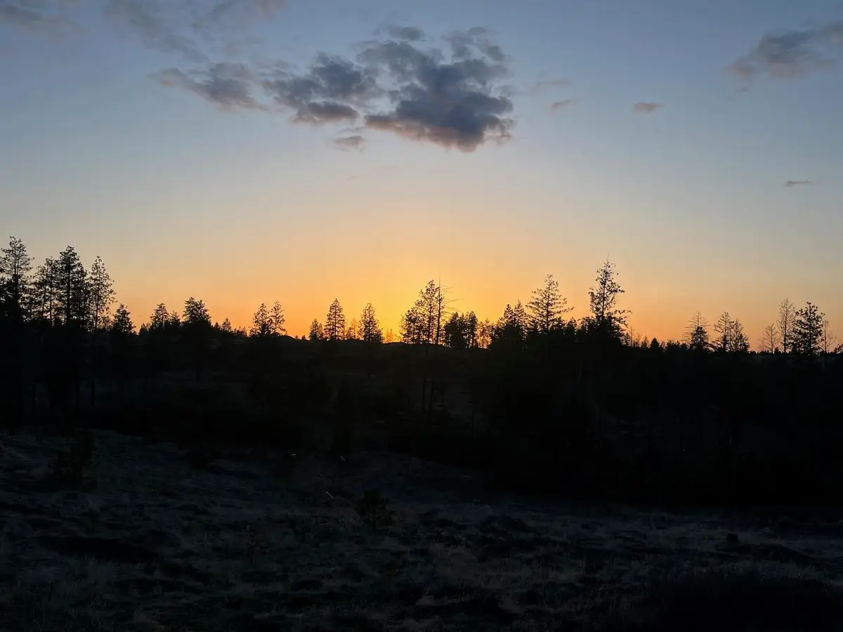 Parcel 3 Pine Hen Ln, Davenport, WA 99122 - #1