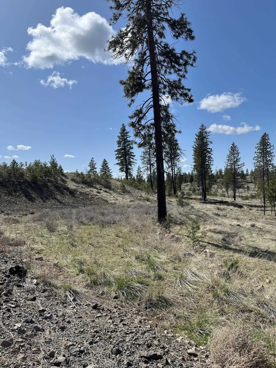 Parcel 3 Pine Hen Ln, Davenport, WA 99122 - #2