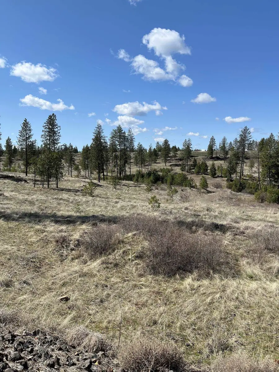 Parcel 3 Pine Hen Ln, Davenport, WA 99122 - #3