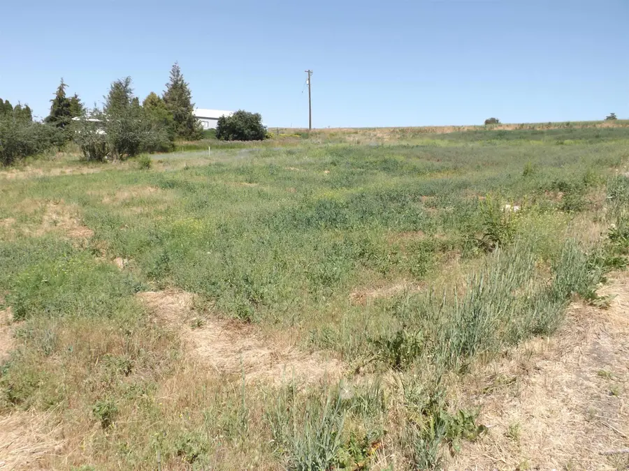 xxx E A St, Rosalia, WA 99170 - #2