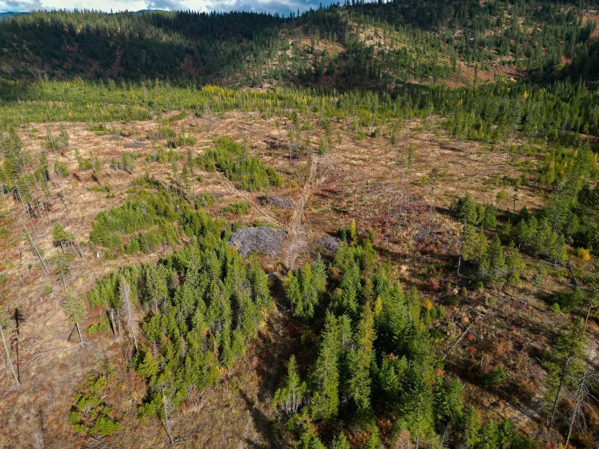 4684 Grouse Creek Rd, Chewelah, WA 99109 - #1