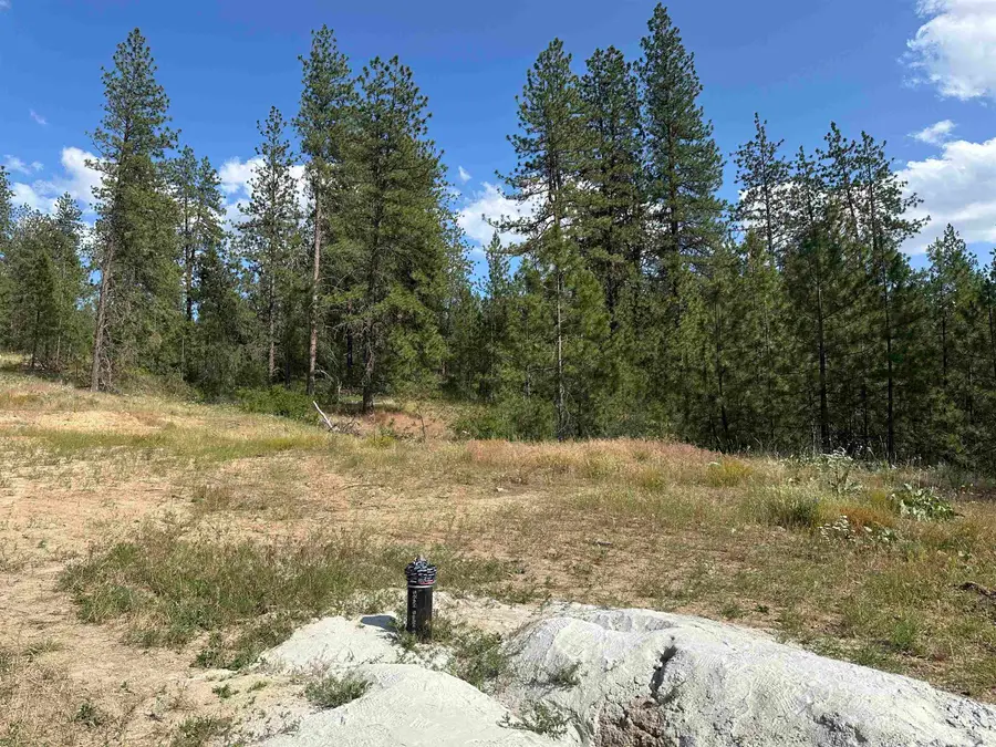 NKA Lower Weaver Way, Deer Park, WA 99006 - #2