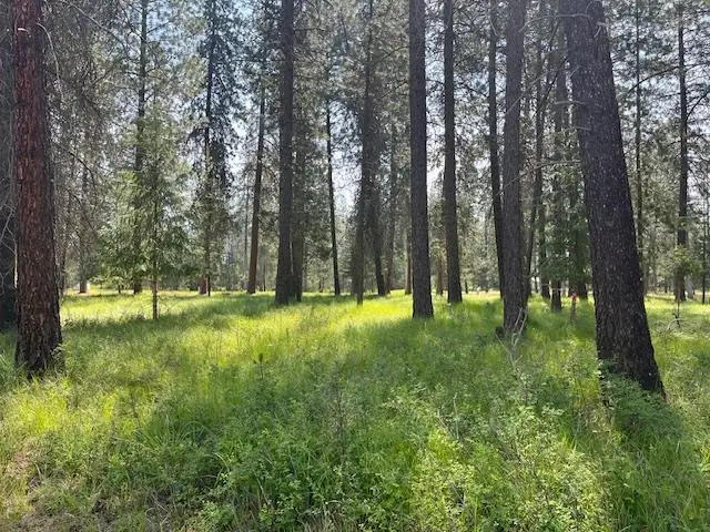 203 Eagle Dr, Chewelah, WA 99109 - #3