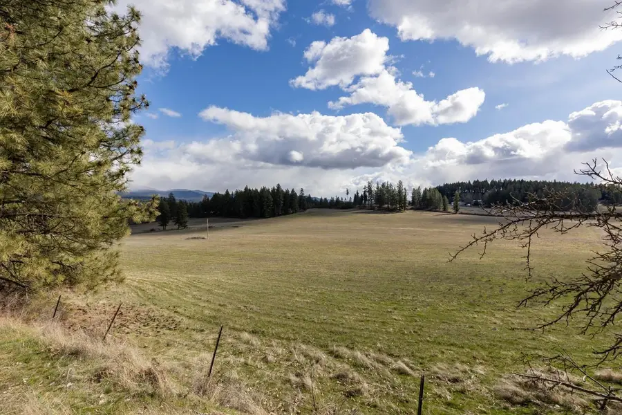 8920A E Schwachtgen Branch Rd, Chattaroy, WA 99003 - #2