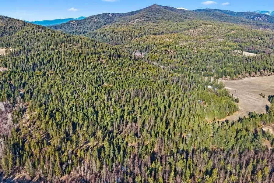 28XX Burnt Valley (20ac) Rd, Chewelah, WA 99109 - #3