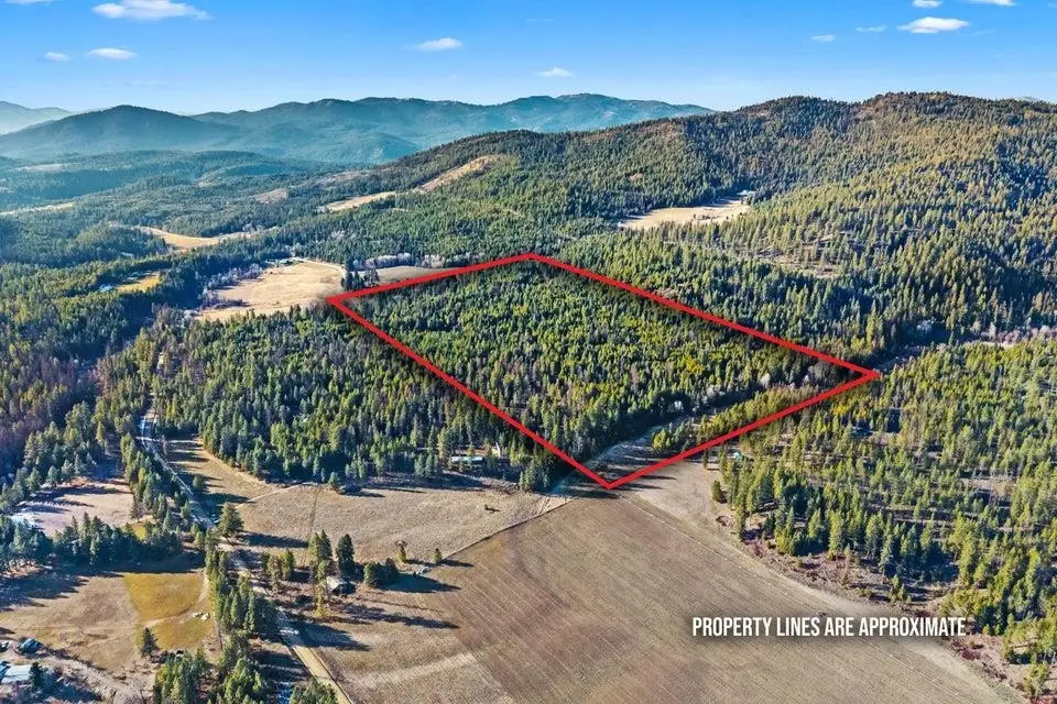 28XX Burnt Valley (80ac) Rd, Chewelah, WA 99109 - #1