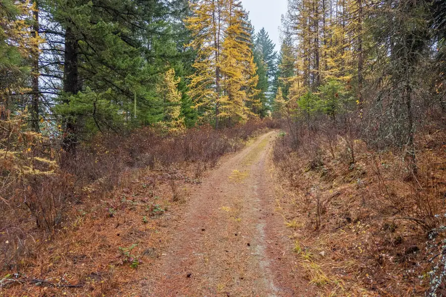 700 L Dry Gulch Rd, Colville, WA 99114 - #2