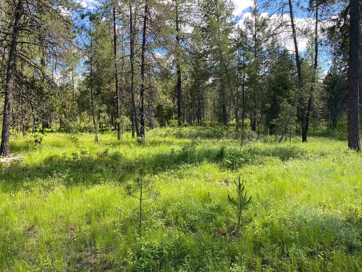 xx W Montgomery Rd, Deer Park, WA 99006 - #1