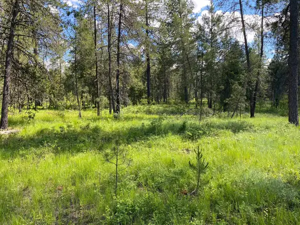 xx W Montgomery Rd, Deer Park, WA 99006