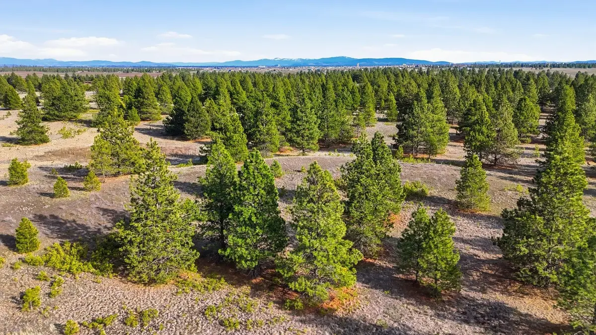 00 N Dover Rd, Medical Lake, WA 99022 - #1