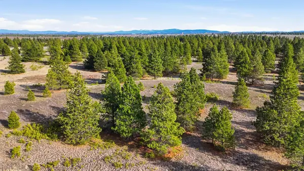 00 N Dover Rd, Medical Lake, WA 99022