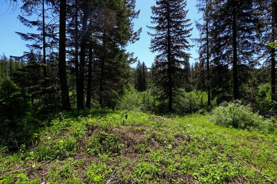 14 Elk Rd, Newport, WA 99156 - #3