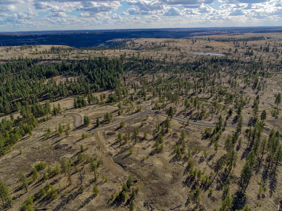 31008 Meadow Ln, Davenport, WA 99122 - #2