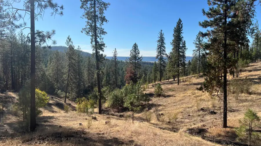 NNA Corkscrew Canyon Rd, Tumtum, WA 99034 - #2