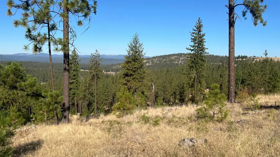 NNA Corkscrew Canyon Rd, Tumtum, WA 99034 - #3