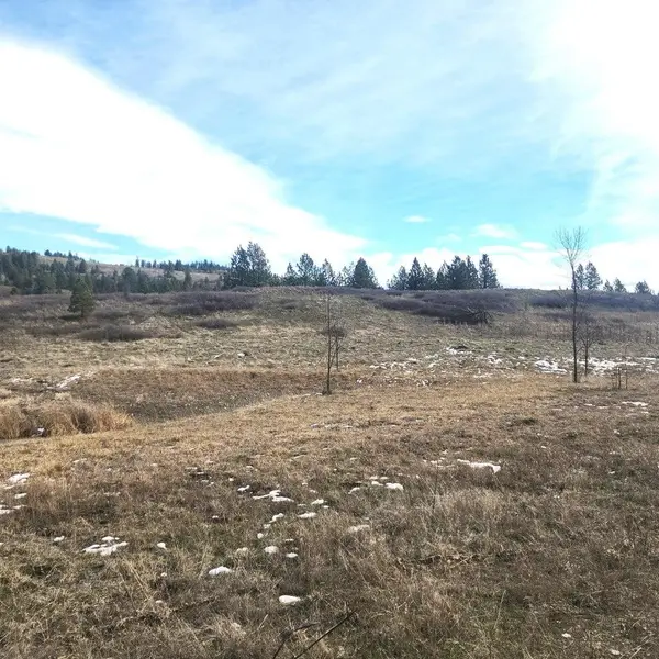 3390 F&g Spirit Ridge Way, Rice, WA 99167