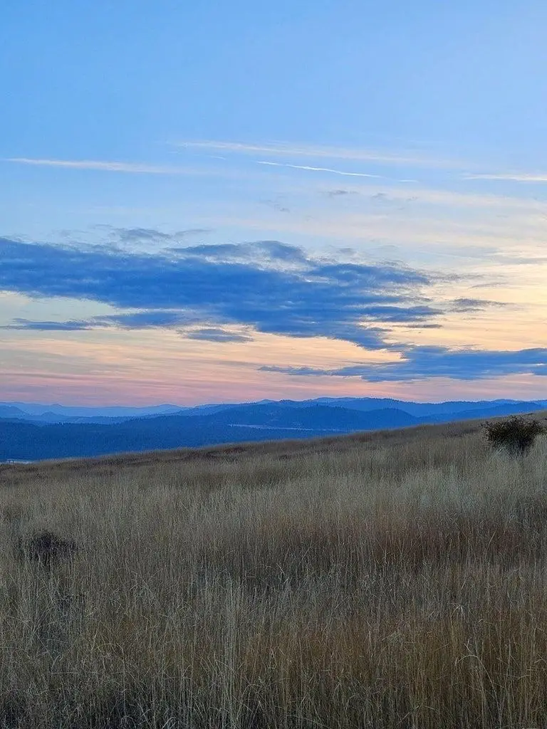 3390 F&g Spirit Ridge Way, Rice, WA 99167 - #3