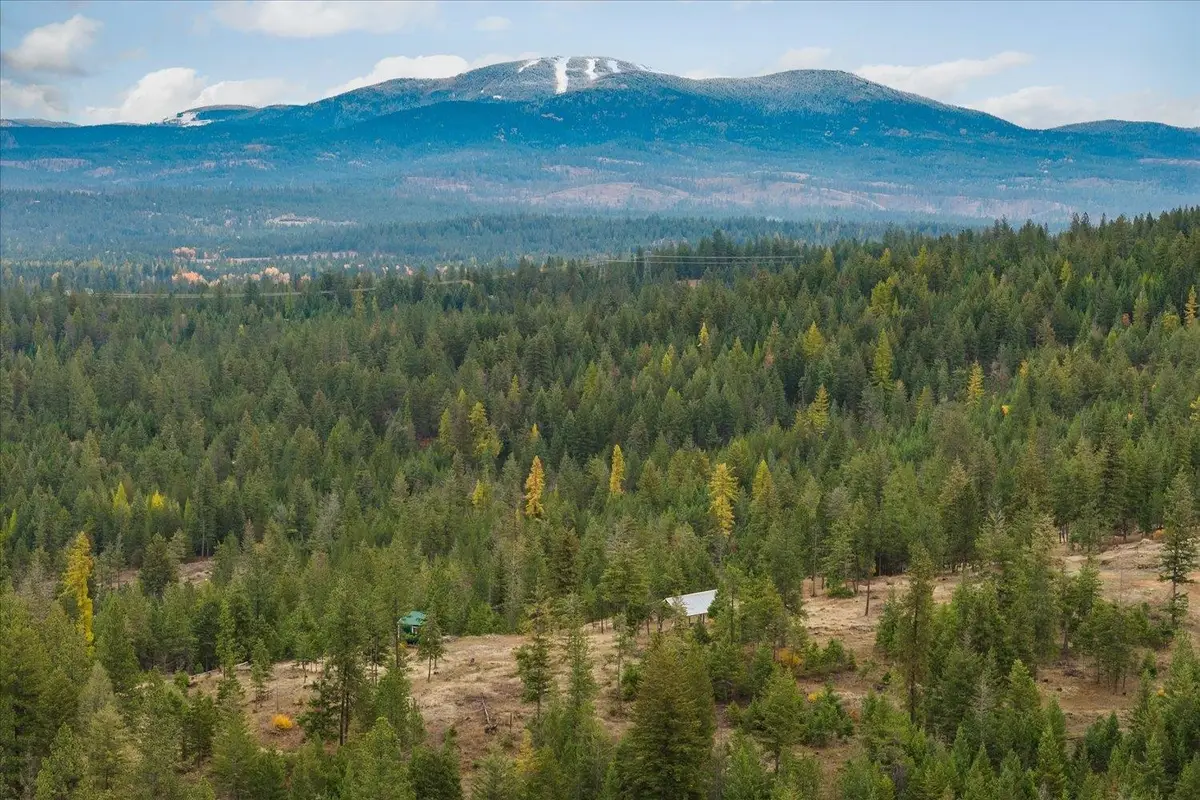 36022 N Milan-elk Rd, Chattaroy, WA 99003 - #1