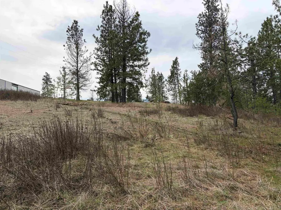 NKA W Emma St, Rockford, WA 99030 - #3