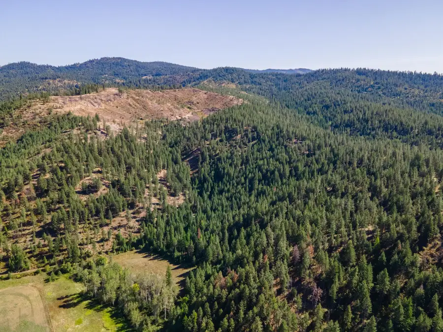 XXXX Dome Lane Way, Springdale, WA 99148 - #3