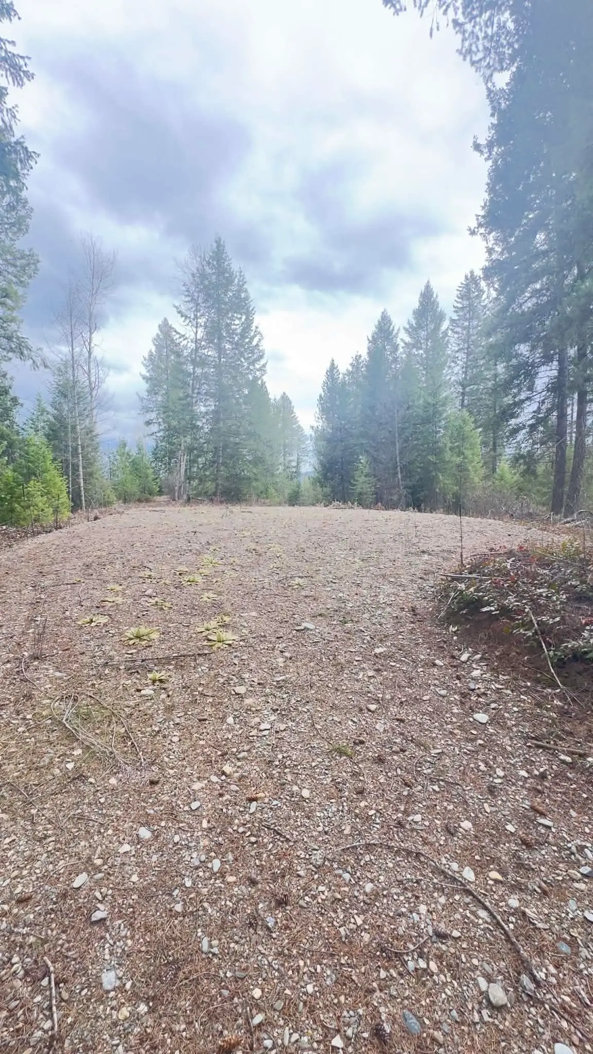 NKN Wilderness Ave, Ione, WA 99139 - #1