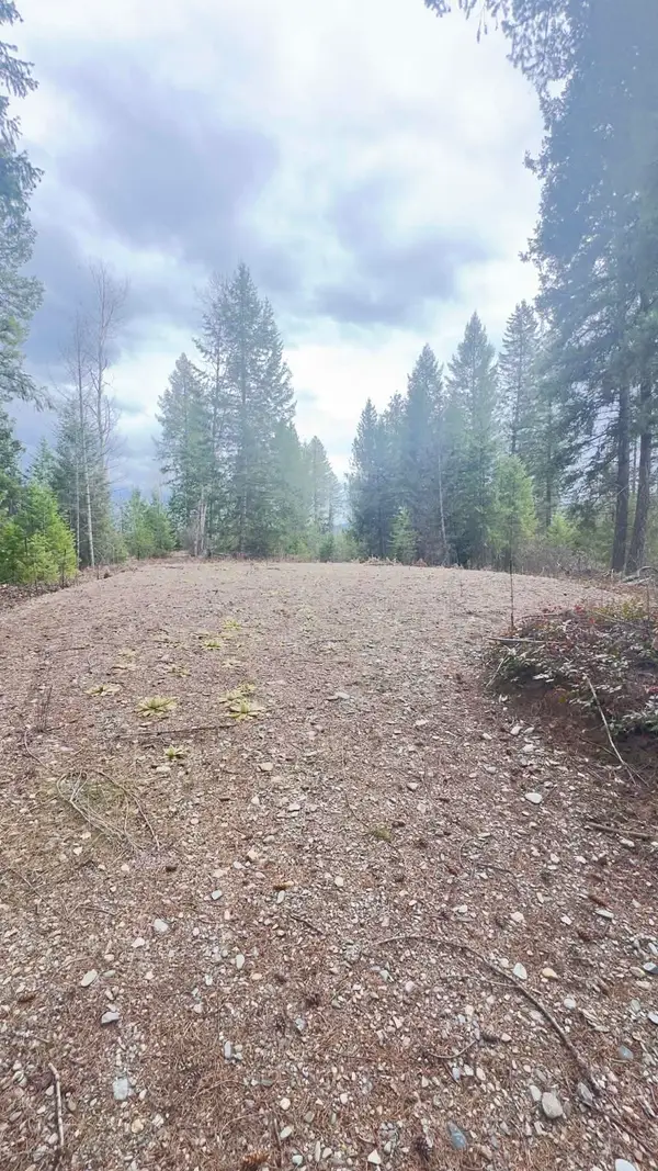 NKN Wilderness Ave, Ione, WA 99139