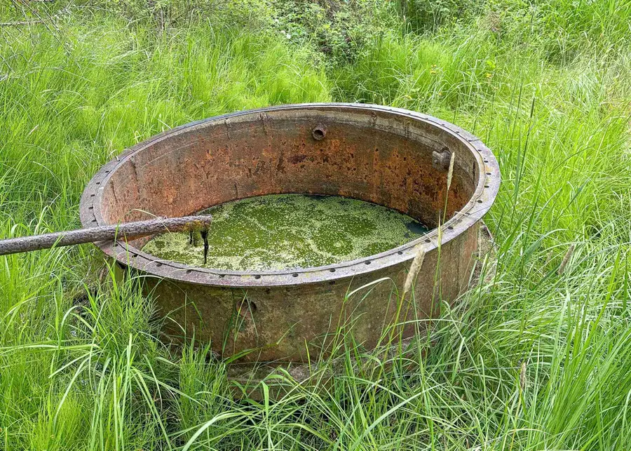 NKA E Belmont Rd, Mica, WA 99023 - #2