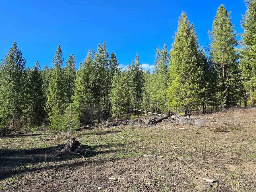 62XX Castle Rock Creek Rd, Fruitland, WA 99129 - #3