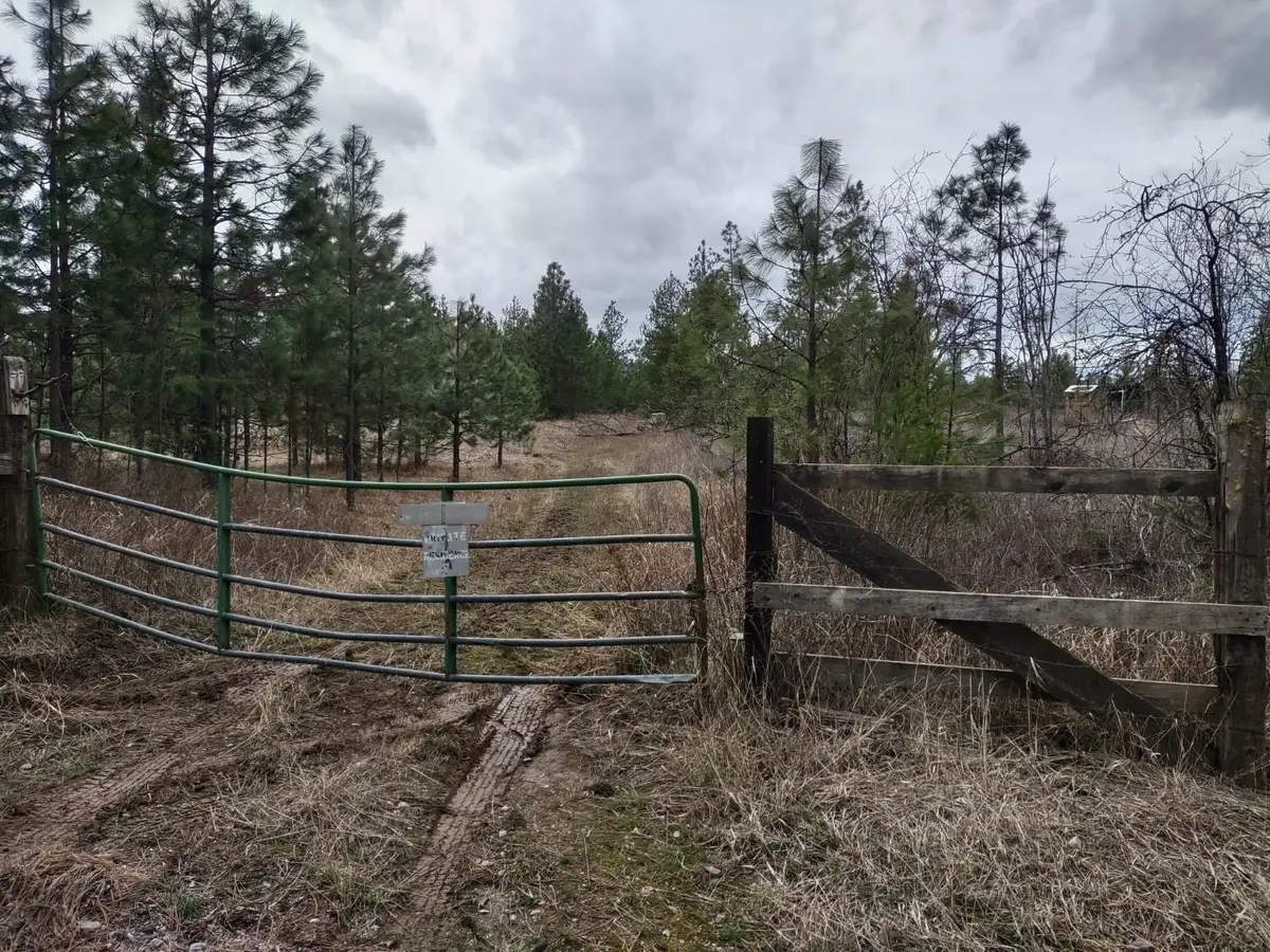 xx Lyons Hill Rd, Springdale, WA 99173 - #1