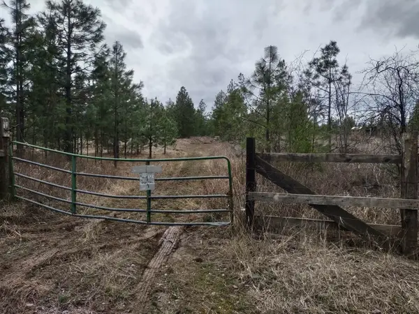 xx Lyons Hill Rd, Springdale, WA 99173