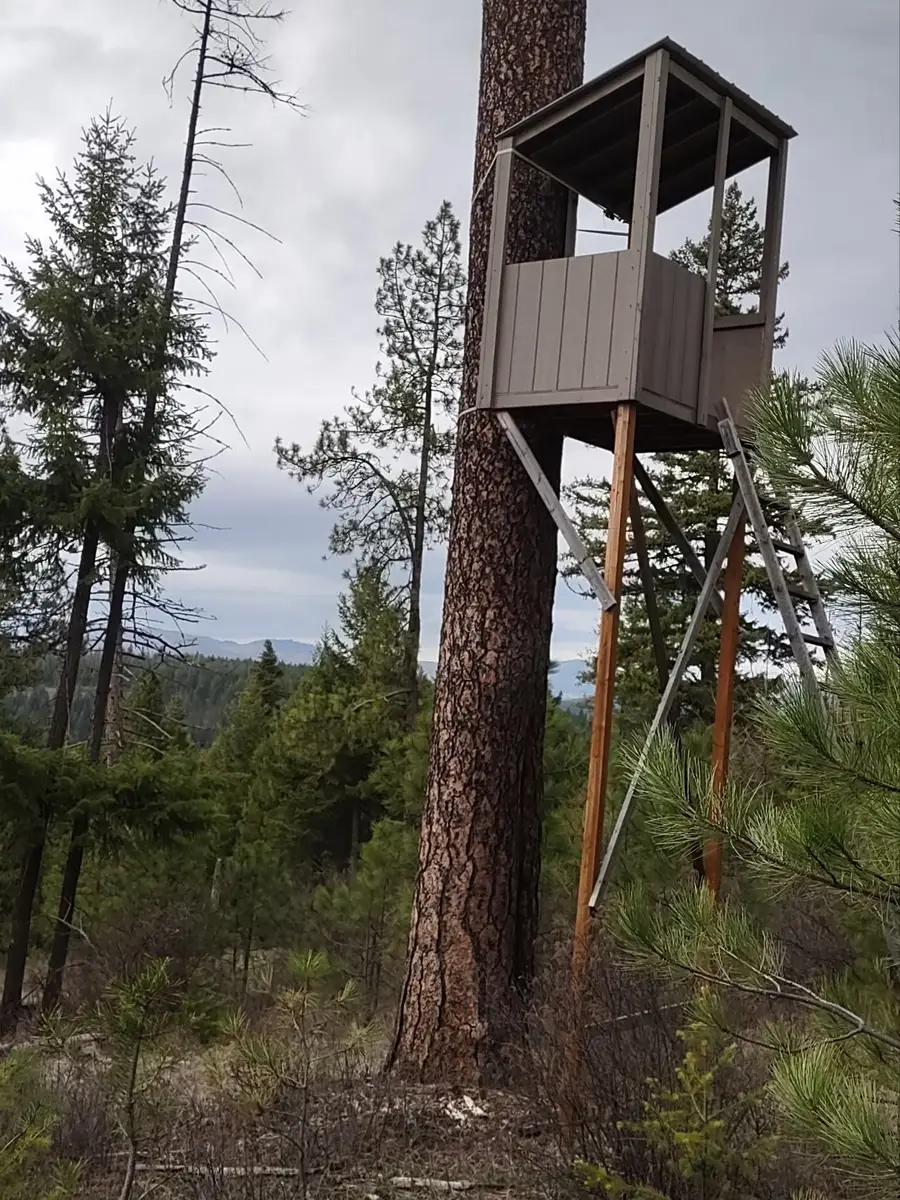 xx Lyons Hill Rd, Springdale, WA 99173 - #2