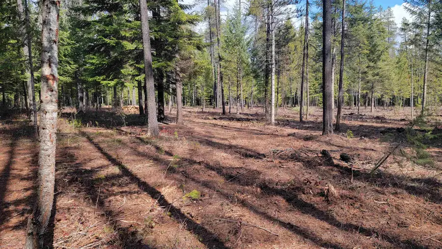 NKN Spring Valley Rd, Newport, WA 99156 - #3