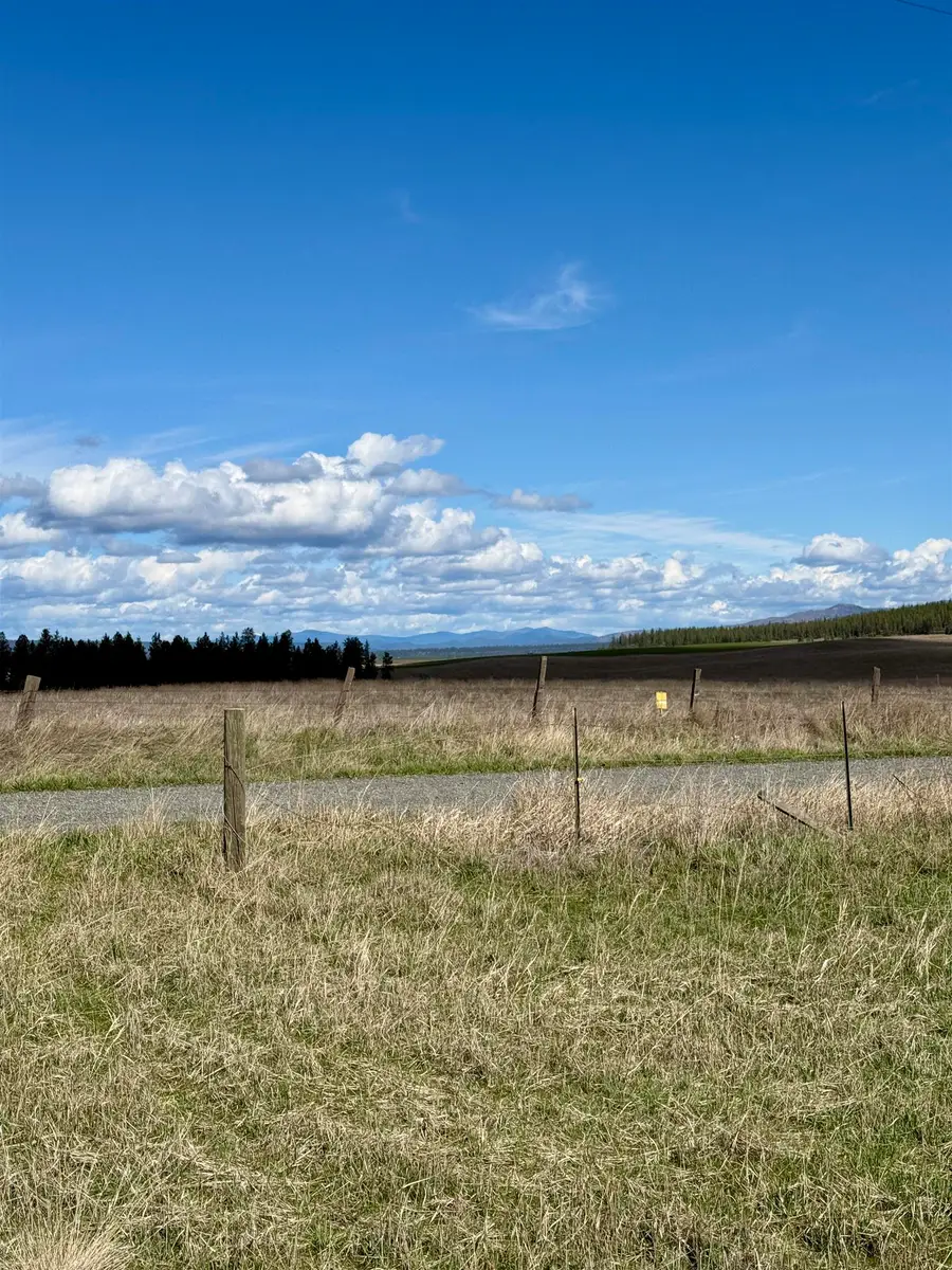 49546 Fisher E Rd, Davenport, WA 99122 - #3