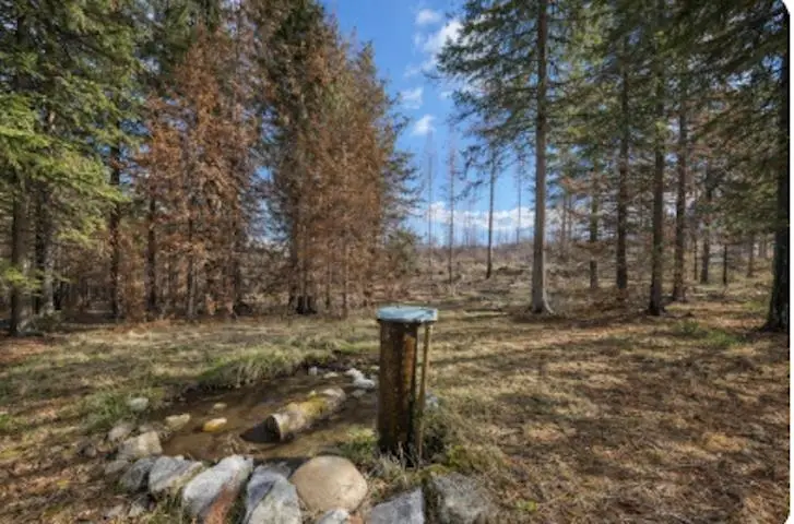 2433 B Widow Rd, Colville, WA 99114 - #1